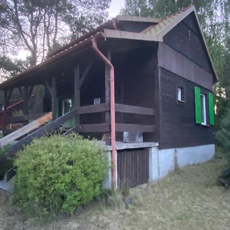 Willa Dom Pod Sosnami Rzewnie Zewnętrze zdjęcie