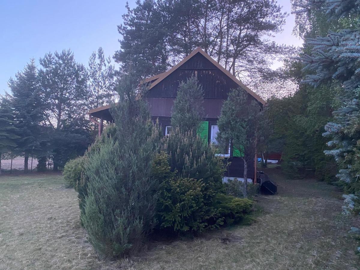 Willa Dom Pod Sosnami Rzewnie Zewnętrze zdjęcie